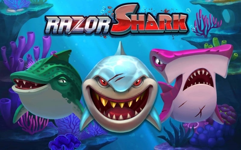 razor shark