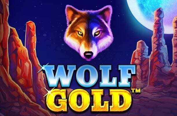 gold wolf